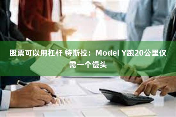 股票可以用杠杆 特斯拉：Model Y跑20公里仅需一个馒头