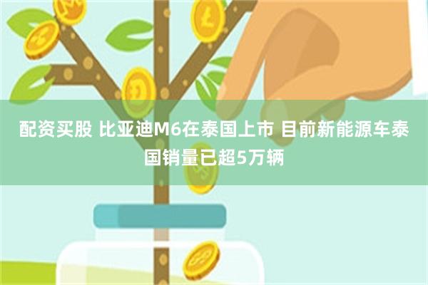 配资买股 比亚迪M6在泰国上市 目前新能源车泰国销量已超5万